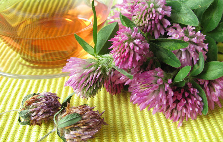 Рецептата на Sonetka с цветове от детелина и листа от малина 